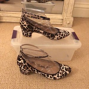 Leopard Print! Pilcro, Anthropology